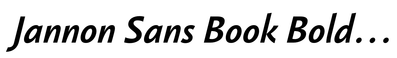 Jannon Sans Book Bold Italic